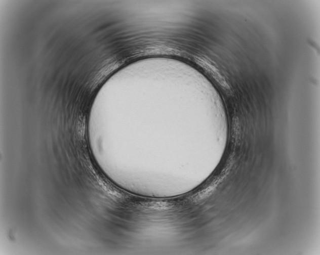 X0000094770841200712071131