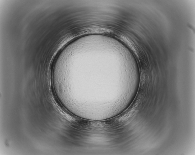 X0000094770843200712071131