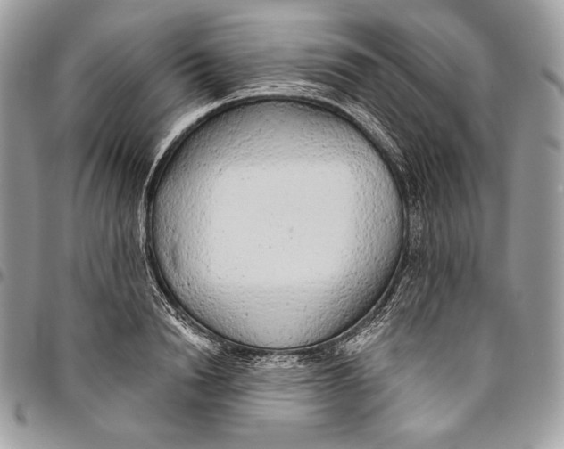 X0000094770846200712071131