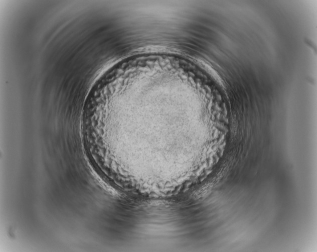 X0000094770847200712071131