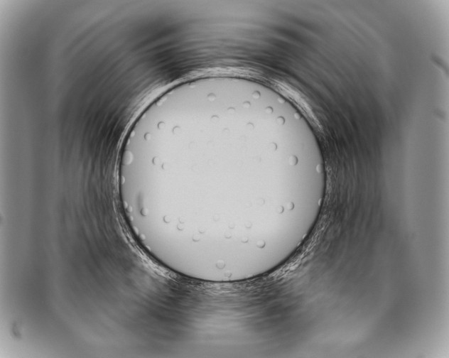 X0000094770852200712071132