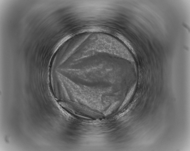 X0000094770853200712071132