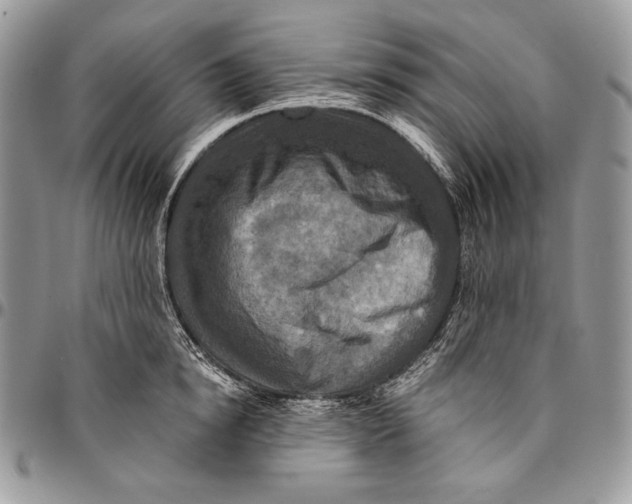 X0000094770854200712071132