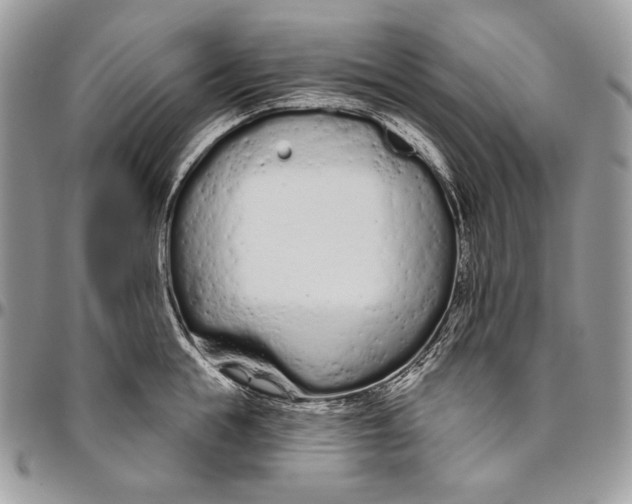 X0000094770855200712071132