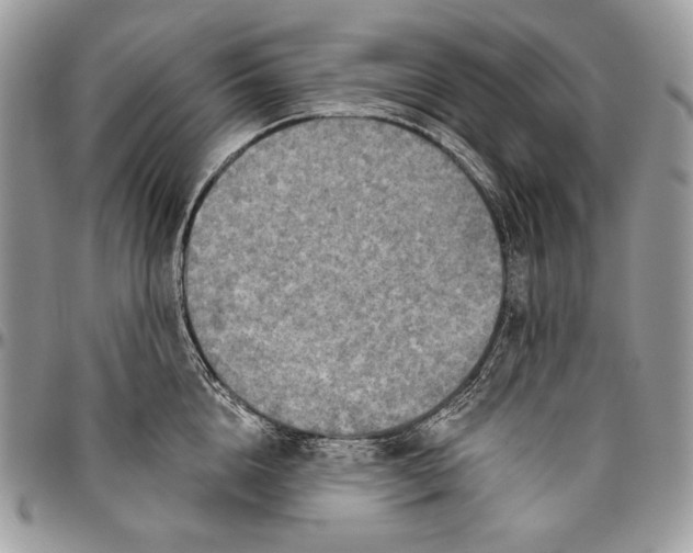 X0000094770856200712071132