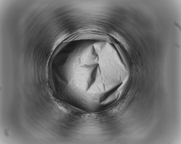 X0000094770858200712071132