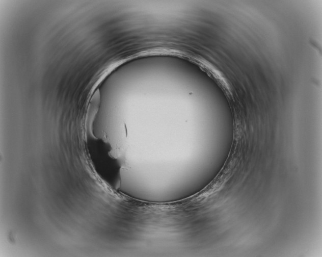 X0000094770860200712071132