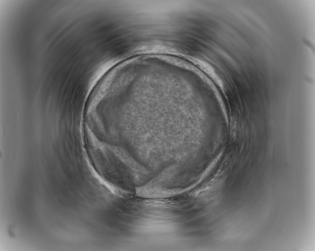 X0000094770863200712071132