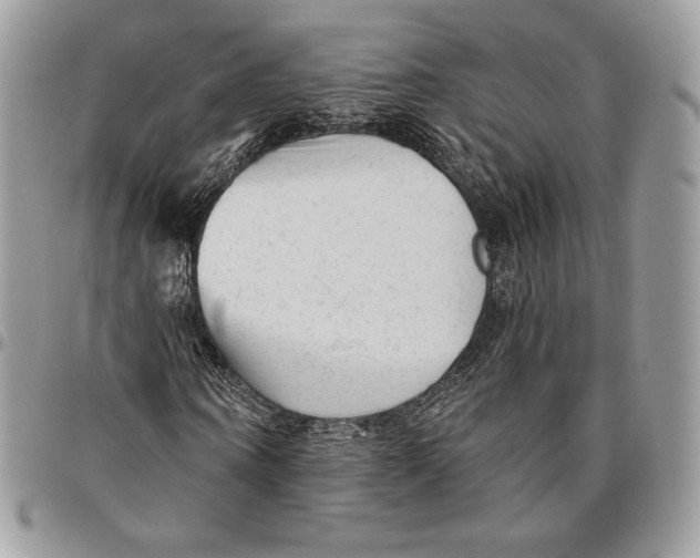 X0000094770866200712071131