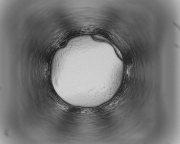 X0000094770867200712071131