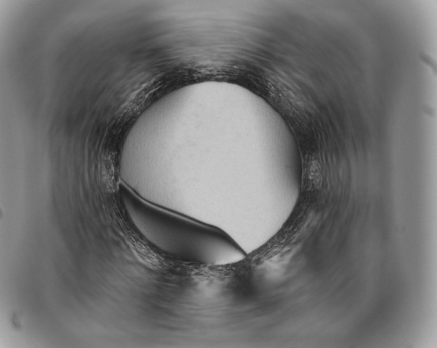 X0000094770868200712071131