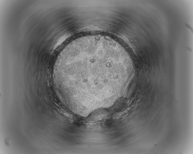 X0000094770871200712071131