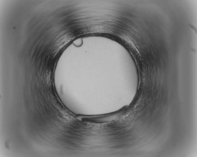 X0000094770873200712071131