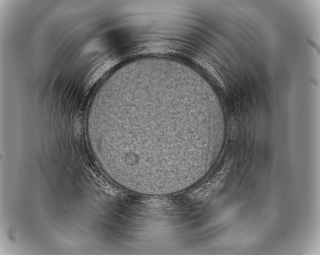 X0000094770874200712071131