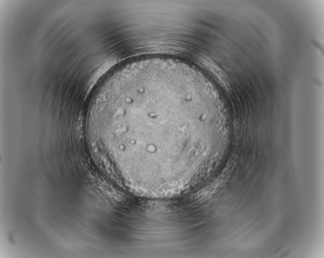 X0000094770875200712071131