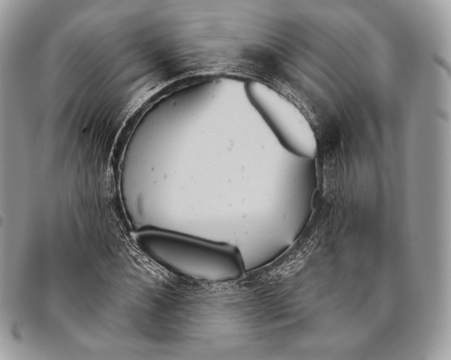 X0000094770876200712071131