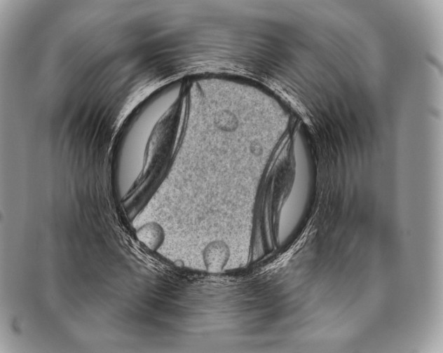 X0000094770877200712071131