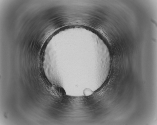 X0000094770879200712071131