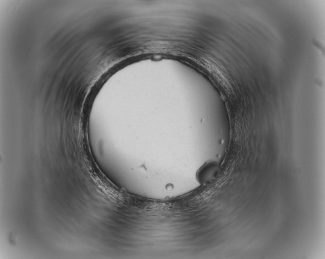 X0000094770880200712071131