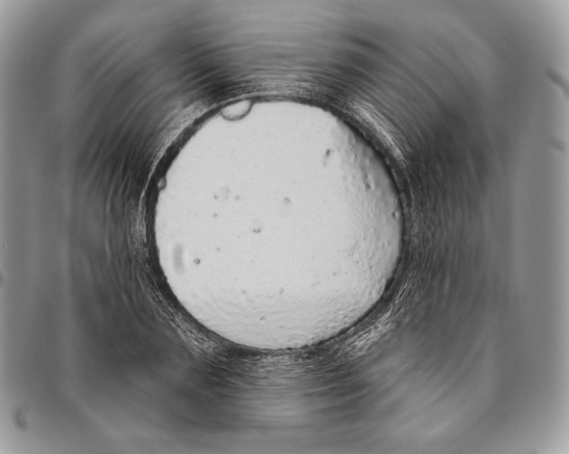 X0000094770883200712071131