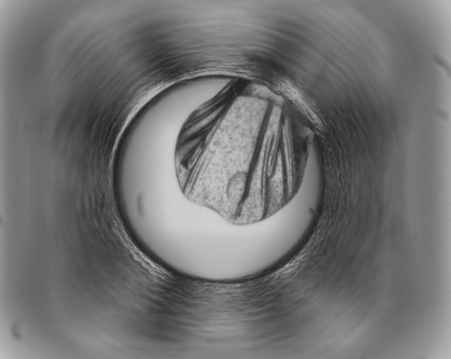 X0000094770884200712071131