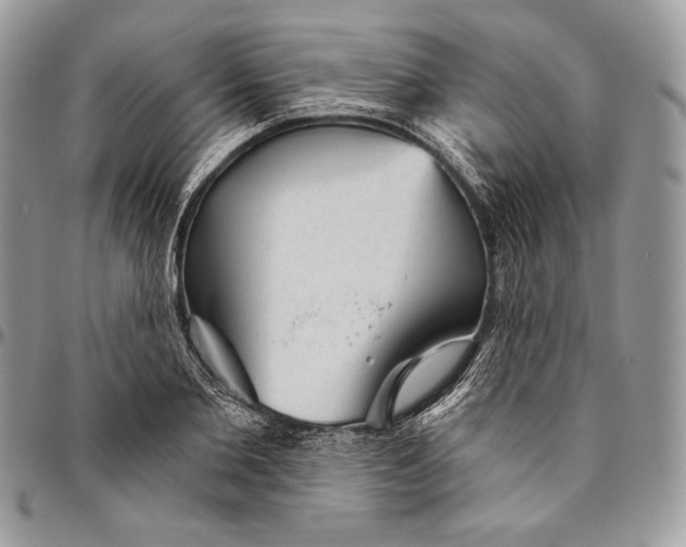 X0000094770885200712071131