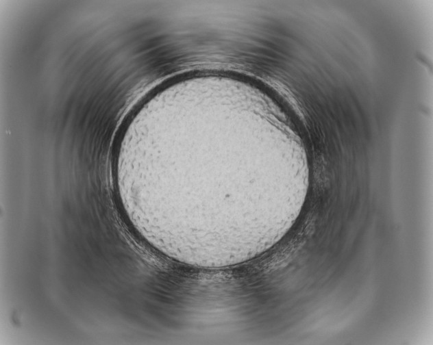 X0000094770887200712071131