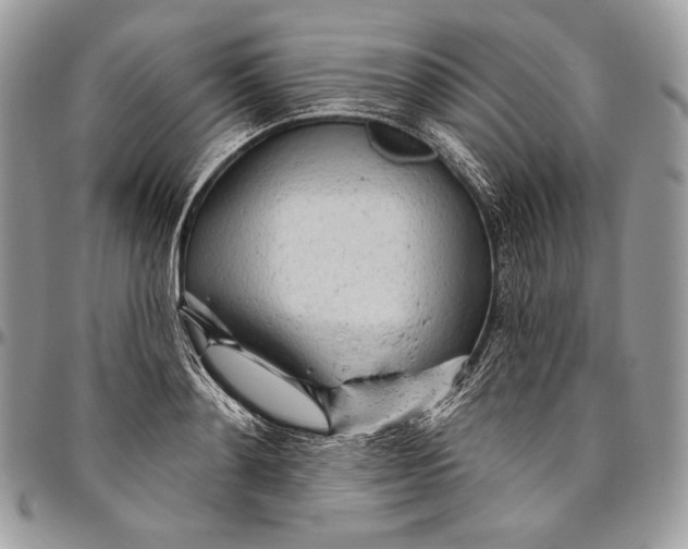 X0000094770892200712071131