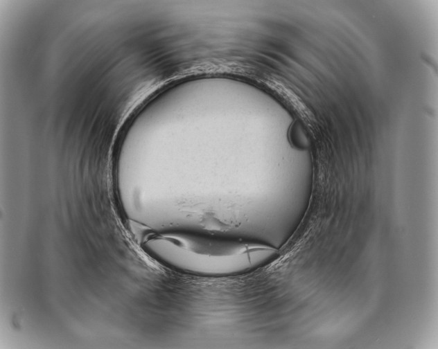 X0000094770894200712071131