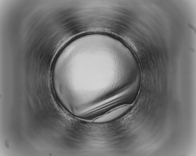 X0000094770895200712071130