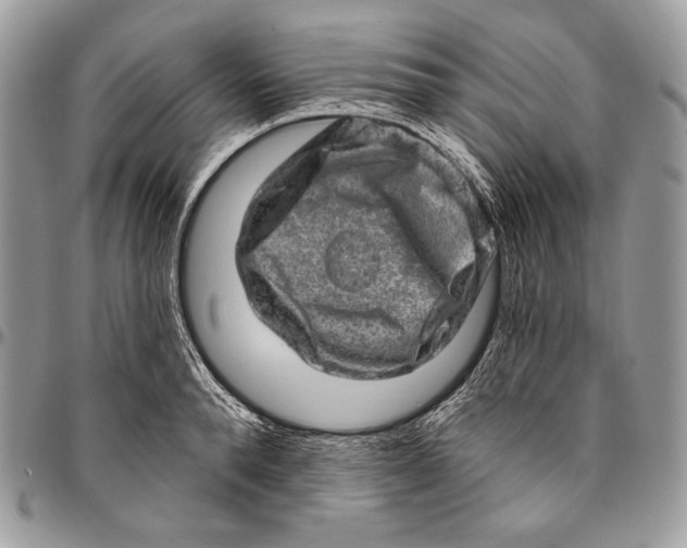 X0000094770896200712071130