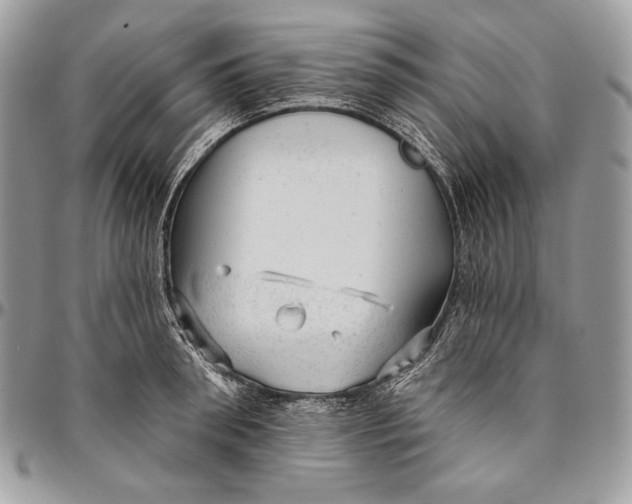 X0000094770898200712071130