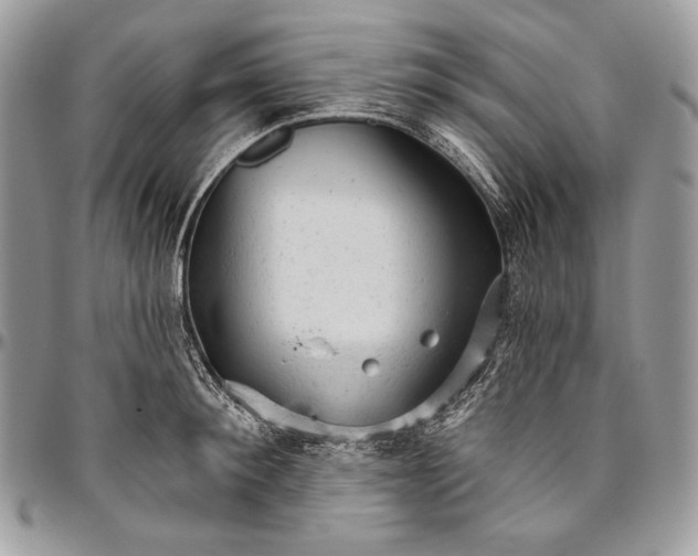 X0000094770900200712071130