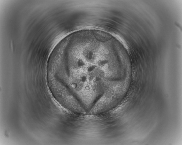 X0000094770903200712071130