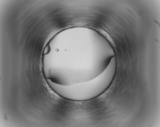 X0000094770904200712071130