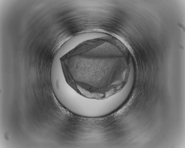 X0000094770905200712071130