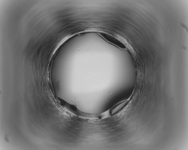 X0000094770908200712071130