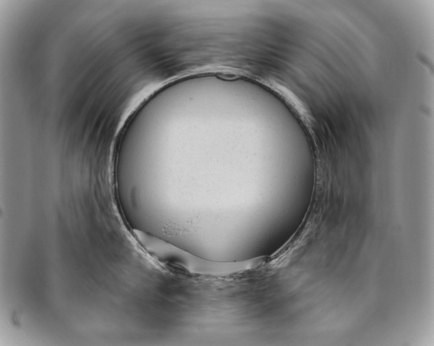 X0000094770910200712071130