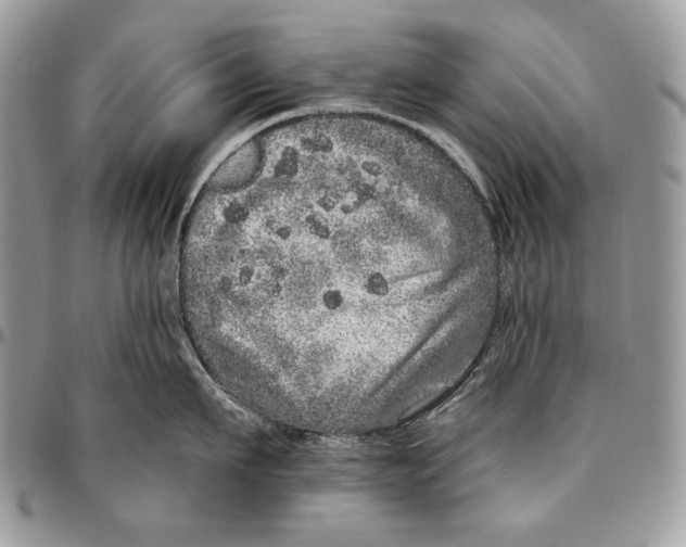 X0000094770911200712071130