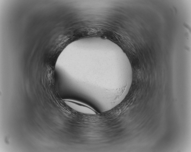 X0000094770914200712071130