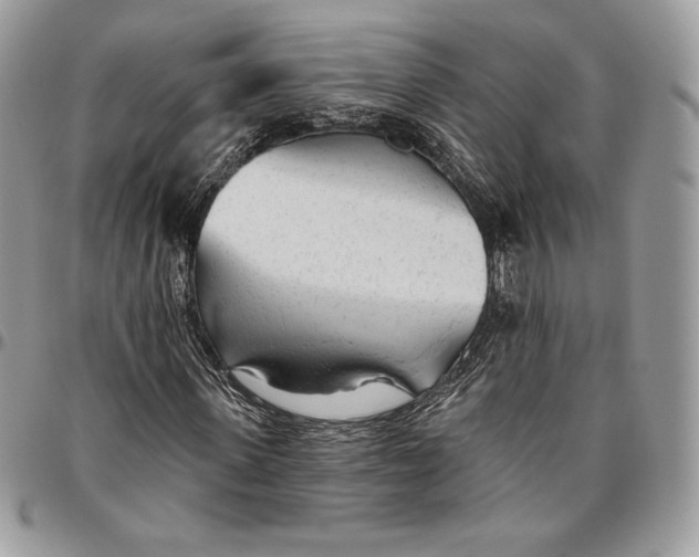 X0000094770915200712071130