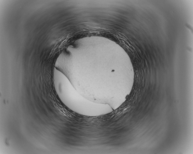 X0000094770916200712071130