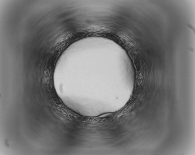 X0000094770917200712071130