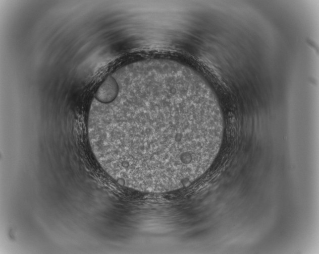 X0000094770918200712071130