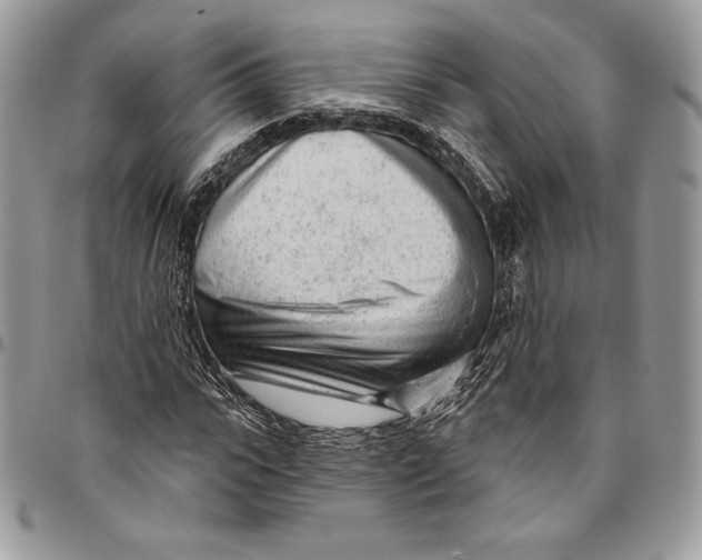 X0000094770919200712071130