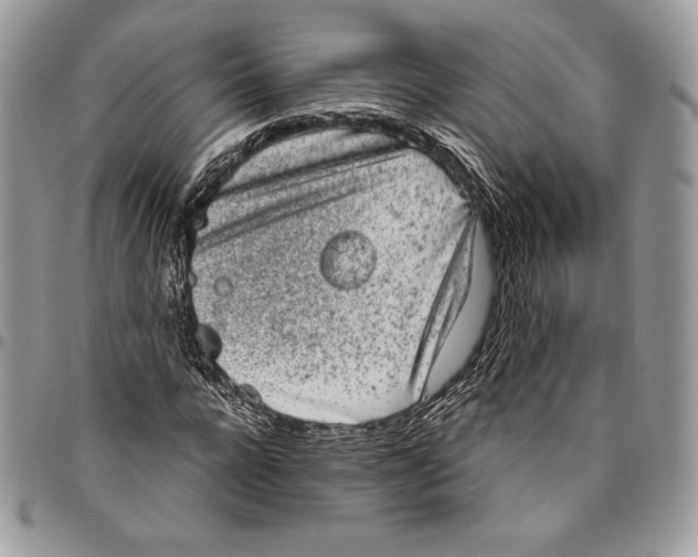 X0000094770920200712071130