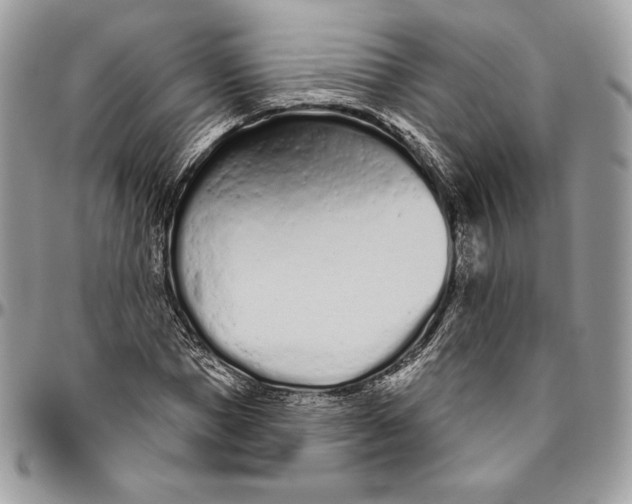 X0000094770921200712071130