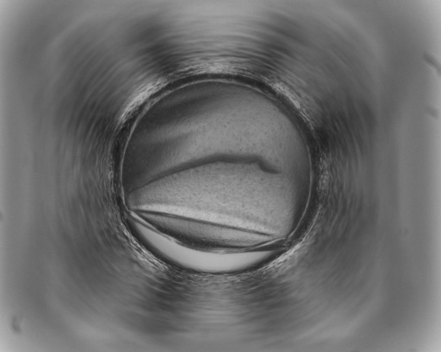 X0000094770922200712071130