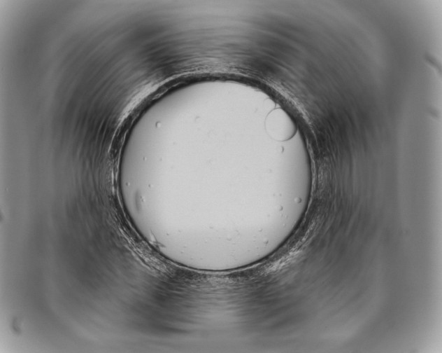 X0000094770925200712071130