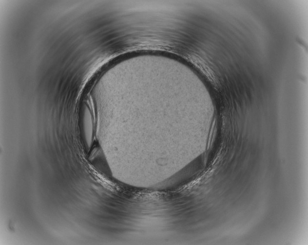 X0000094770926200712071130